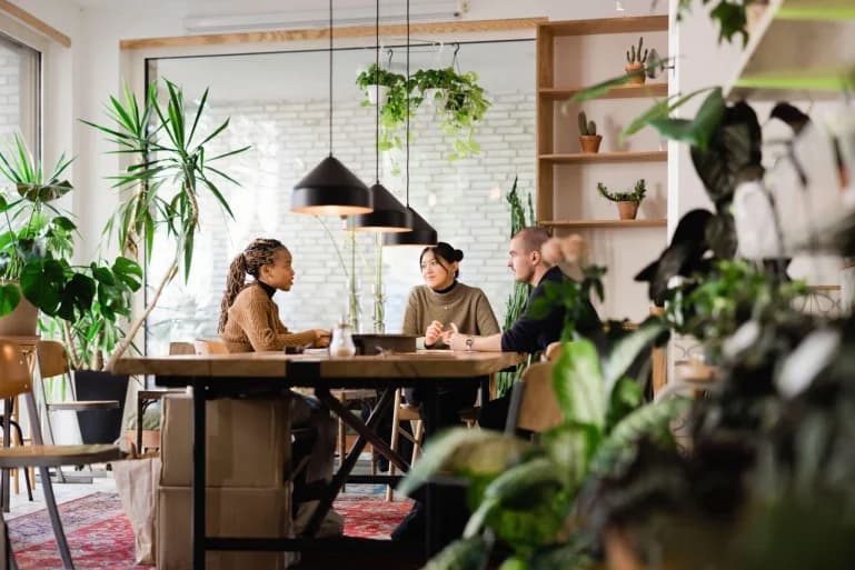 Team collaborating in a modern office